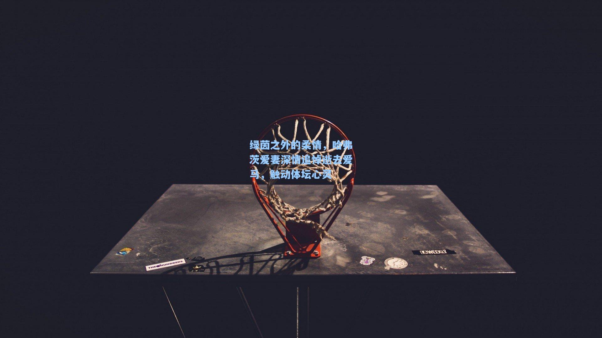 绿茵之外的柔情，哈弗茨爱妻深情追悼逝去爱马，触动体坛心灵